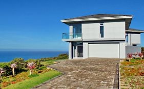 The Bluehouse